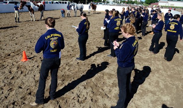 university-to-host-ffa-state-convention-activities-and-judging-contests